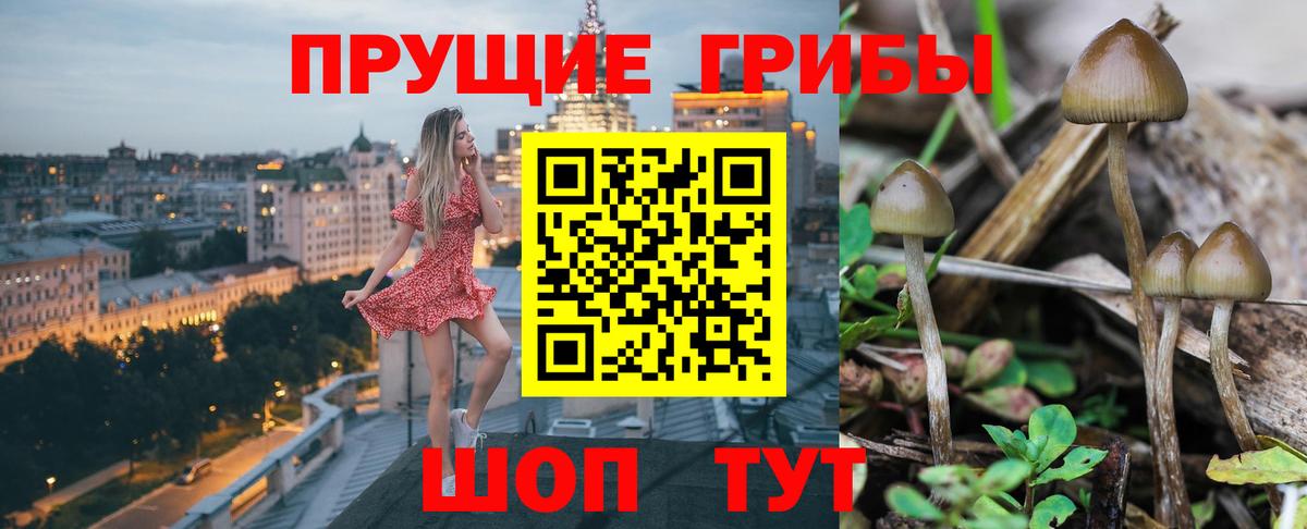Галлюциногенные грибы MAGIC MUSHROOMS  Вход с VPN  Курск  Псилоцибиновые грибы Cubensis 